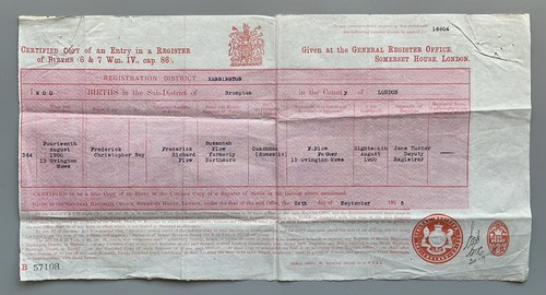 1900 birth certificate - birth, (copy)