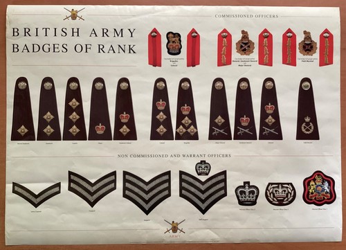 British army badges - army,
